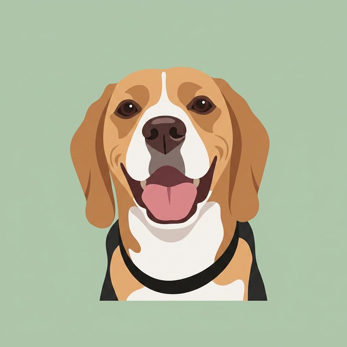 Modern flat pet